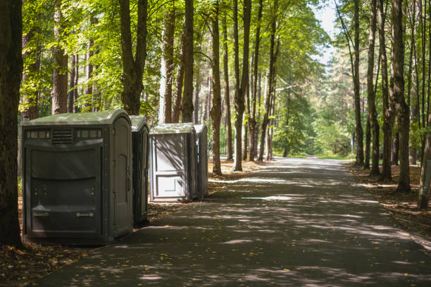 Best High-end porta potty rental  in Renville, MN
